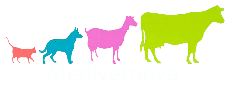 Grupo Medivetnova